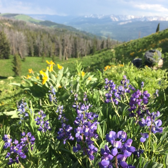 Meet your Posher, R - Picture 1 of 2